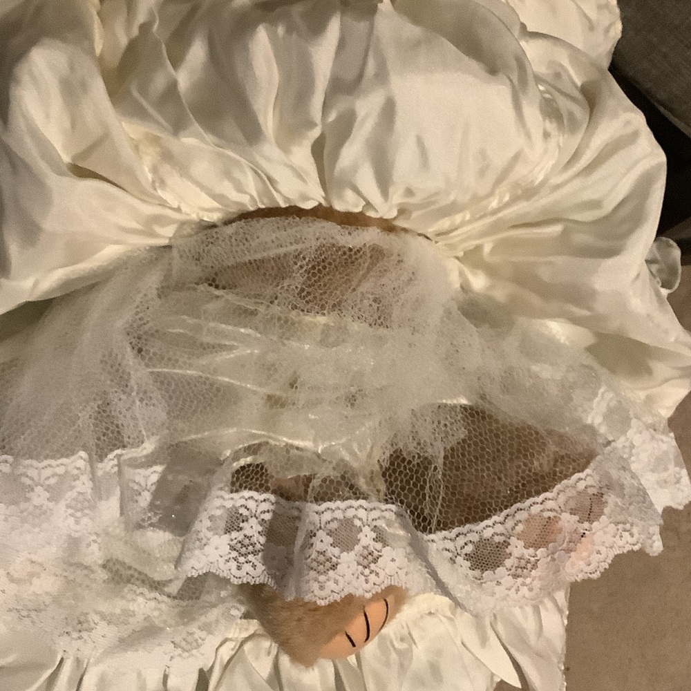 Bearly People Collectable Bridal Bear - Picture 10 of 10